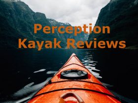 perception kayak reviews