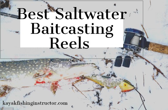 Best Saltwater Baitcasting Reels 