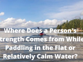 Where Does a Person's Strength Comes from While Paddling in the Flat or Relatively Calm Water?