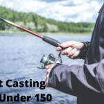 Best Casting Rod Under 150