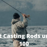 Best Casting Rods under 100