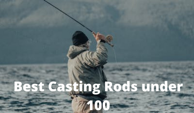 Best Casting Rods under 100