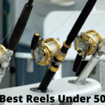 Best Reels Under 50