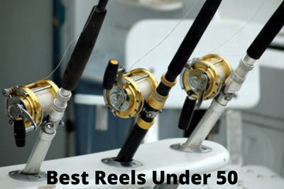 Best Reels Under 50