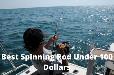 Best Spinning Rod Under 100 Dollars