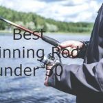 Best Spinning Rod under 50