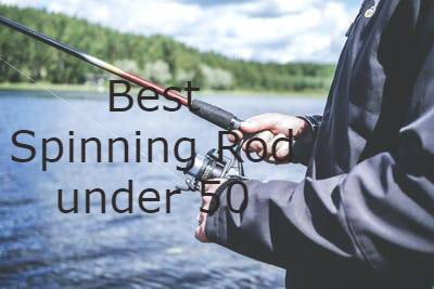 Best Spinning Rod under 50