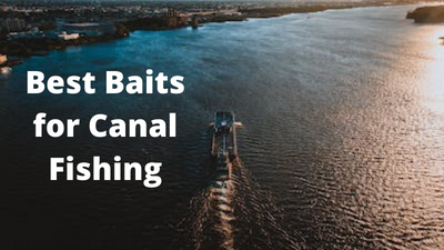 Best Baits for Canal Fishing