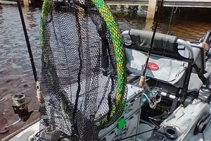 Best Fishing Nets for Kayaks: Top Picks & Guide Safem Fabrication - Precision Engineering & Custom Manufacturing Solutions Best Fishing Nets for Kayaks: Top Picks & Guide | Safem Fabrication - Precision Engineering & Custom Manufacturing Solutions