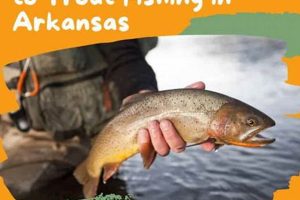 Top Kayak Fishing Spots in Arkansas 2024 Safem Fabrication - Precision Engineering & Custom Manufacturing Solutions Top Kayak Fishing Spots in Arkansas 2024 | Safem Fabrication - Precision Engineering & Custom Manufacturing Solutions