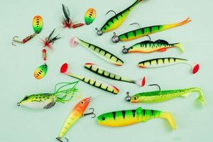 Top Best Lures for Kayak Fishing Success Safem Fabrication - Precision Engineering & Custom Manufacturing Solutions Top Best Lures for Kayak Fishing Success | Safem Fabrication - Precision Engineering & Custom Manufacturing Solutions