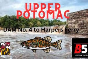 Potomac Fishing Kayak Certified Kayak Fishing Instructor – Learn Kayak Angling with Expert Guidance Potomac Fishing Kayak | Certified Kayak Fishing Instructor – Learn Kayak Angling with Expert Guidance