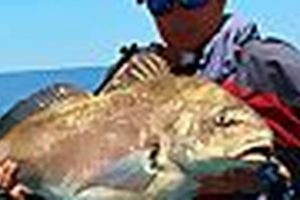 Romo Kayak Fishing Safem Fabrication - Precision Engineering & Custom Manufacturing Solutions Romo Kayak Fishing | Safem Fabrication - Precision Engineering & Custom Manufacturing Solutions