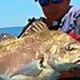 Romo Kayak Fishing | Certified Kayak Fishing Instructor – Learn Kayak Angling with Expert Guidance