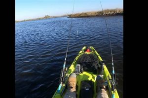 Ultimate Ozello Kayak Fishing Guide | Certified Kayak Fishing Instructor – Learn Kayak Angling with Expert Guidance