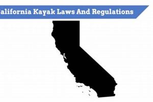 Kayak Fishing in CA: Rules & Regs | Certified Kayak Fishing Instructor – Learn Kayak Angling with Expert Guidance