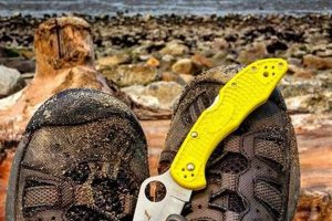Best Kayak Fishing Knives: Top Picks & Guide Safem Fabrication - Precision Engineering & Custom Manufacturing Solutions Best Kayak Fishing Knives: Top Picks & Guide | Safem Fabrication - Precision Engineering & Custom Manufacturing Solutions