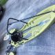 Best Freedom Hawk 12 Stand Up Fishing Kayak Review | Certified Kayak Fishing Instructor – Learn Kayak Angling with Expert Guidance
