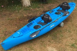 Top Hobie 2 Man Fishing Kayaks: Reviews & Guide | Certified Kayak Fishing Instructor – Learn Kayak Angling with Expert Guidance