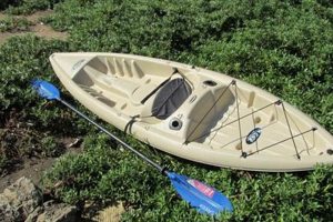 Tan Fishing Kayak | Certified Kayak Fishing Instructor – Learn Kayak Angling with Expert Guidance