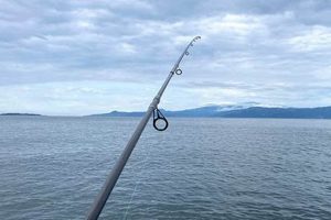 Kayak Fishing Guide: Tips & Techniques Certified Kayak Fishing Instructor – Learn Kayak Angling with Expert Guidance Kayak Fishing Guide: Tips & Techniques | Certified Kayak Fishing Instructor – Learn Kayak Angling with Expert Guidance