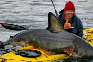 Top Shark Fishing Kayaks: Ultimate Guide Certified Kayak Fishing Instructor – Learn Kayak Angling with Expert Guidance Top Shark Fishing Kayaks: Ultimate Guide | Certified Kayak Fishing Instructor – Learn Kayak Angling with Expert Guidance