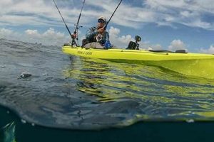 Top 5 Best Fishing Kayaks of 2020: Reviews Safem Fabrication - Precision Engineering & Custom Manufacturing Solutions Top 5 Best Fishing Kayaks of 2020: Reviews | Safem Fabrication - Precision Engineering & Custom Manufacturing Solutions
