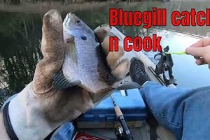 Kayak Bluegill Fishing: Tips & Techniques Certified Kayak Fishing Instructor – Learn Kayak Angling with Expert Guidance Kayak Bluegill Fishing: Tips & Techniques | Certified Kayak Fishing Instructor – Learn Kayak Angling with Expert Guidance