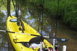 Top Fishing Kayak Rigging Ideas & Setup Tips Certified Kayak Fishing Instructor – Learn Kayak Angling with Expert Guidance Top Fishing Kayak Rigging Ideas & Setup Tips | Certified Kayak Fishing Instructor – Learn Kayak Angling with Expert Guidance