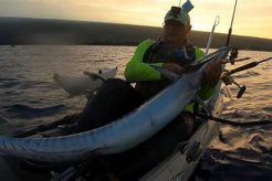 Epic Kayak Fishing for Wahoo Adventures! Certified Kayak Fishing Instructor – Learn Kayak Angling with Expert Guidance Epic Kayak Fishing for Wahoo Adventures! | Certified Kayak Fishing Instructor – Learn Kayak Angling with Expert Guidance