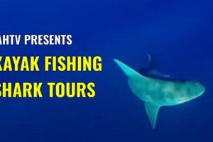 Epic Kayak Shark Fishing in Hawaii! Certified Kayak Fishing Instructor – Learn Kayak Angling with Expert Guidance Epic Kayak Shark Fishing in Hawaii! | Certified Kayak Fishing Instructor – Learn Kayak Angling with Expert Guidance