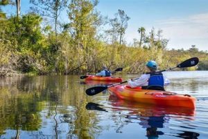 Best Guided Kayak Fishing Trips Near Me Today Certified Kayak Fishing Instructor – Learn Kayak Angling with Expert Guidance Best Guided Kayak Fishing Trips Near Me Today | Certified Kayak Fishing Instructor – Learn Kayak Angling with Expert Guidance