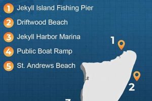 Best Kayak Fishing Spots: Jekyll Island Guide Certified Kayak Fishing Instructor – Learn Kayak Angling with Expert Guidance Best Kayak Fishing Spots: Jekyll Island Guide | Certified Kayak Fishing Instructor – Learn Kayak Angling with Expert Guidance