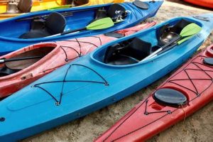 Top Kayaks Near Me: Shop Local & Save Certified Kayak Fishing Instructor – Learn Kayak Angling with Expert Guidance Top Kayaks Near Me: Shop Local & Save | Certified Kayak Fishing Instructor – Learn Kayak Angling with Expert Guidance