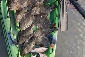 Kayak Flounder Fishing: Tips & Techniques Certified Kayak Fishing Instructor – Learn Kayak Angling with Expert Guidance Kayak Flounder Fishing: Tips & Techniques | Certified Kayak Fishing Instructor – Learn Kayak Angling with Expert Guidance