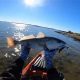 Ultimate Crystal River Kayak Fishing Guide | Certified Kayak Fishing Instructor – Learn Kayak Angling with Expert Guidance