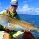Top Corpus Christi Kayak Fishing Guides & Charters | Certified Kayak Fishing Instructor – Learn Kayak Angling with Expert Guidance