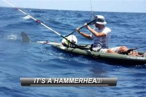 Shark Attack Kayak Fishing Certified Kayak Fishing Instructor – Learn Kayak Angling with Expert Guidance Shark Attack Kayak Fishing | Certified Kayak Fishing Instructor – Learn Kayak Angling with Expert Guidance