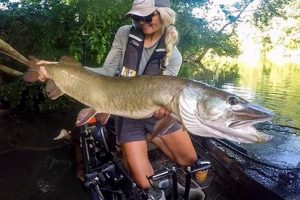 Top Musky Kayak Fishing Tips & Tricks Certified Kayak Fishing Instructor – Learn Kayak Angling with Expert Guidance Top Musky Kayak Fishing Tips & Tricks | Certified Kayak Fishing Instructor – Learn Kayak Angling with Expert Guidance