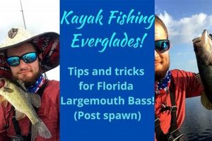 Best Kayak Fishing Everglades: Guide & Tips Certified Kayak Fishing Instructor – Learn Kayak Angling with Expert Guidance Best Kayak Fishing Everglades: Guide & Tips | Certified Kayak Fishing Instructor – Learn Kayak Angling with Expert Guidance