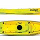 Best Cobra Fish & Dive Kayak: Review & Guide | Certified Kayak Fishing Instructor – Learn Kayak Angling with Expert Guidance