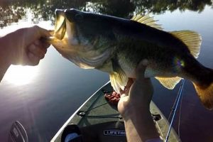 Best Kayak Fishing Spots in Houston TX Certified Kayak Fishing Instructor – Learn Kayak Angling with Expert Guidance Best Kayak Fishing Spots in Houston TX | Certified Kayak Fishing Instructor – Learn Kayak Angling with Expert Guidance