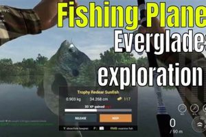 Best Kayak Everglades Fishing Planer Setup Tips Certified Kayak Fishing Instructor – Learn Kayak Angling with Expert Guidance Best Kayak Everglades Fishing Planer Setup Tips | Certified Kayak Fishing Instructor – Learn Kayak Angling with Expert Guidance