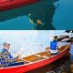 Best Boat or Kayak: Ultimate Guide | Certified Kayak Fishing Instructor – Learn Kayak Angling with Expert Guidance