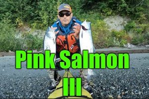 Kayak Salmon Fishing Puget Sound Certified Kayak Fishing Instructor – Learn Kayak Angling with Expert Guidance Kayak Salmon Fishing Puget Sound | Certified Kayak Fishing Instructor – Learn Kayak Angling with Expert Guidance