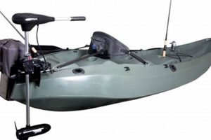 Best Lifetime Fishing Kayak Motor Mounts & DIY Guide Certified Kayak Fishing Instructor – Learn Kayak Angling with Expert Guidance Best Lifetime Fishing Kayak Motor Mounts & DIY Guide | Certified Kayak Fishing Instructor – Learn Kayak Angling with Expert Guidance