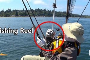 Ultimate Kayak Point Salmon Fishing Guide Certified Kayak Fishing Instructor – Learn Kayak Angling with Expert Guidance Ultimate Kayak Point Salmon Fishing Guide | Certified Kayak Fishing Instructor – Learn Kayak Angling with Expert Guidance