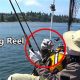 Ultimate Kayak Point Salmon Fishing Guide | Certified Kayak Fishing Instructor – Learn Kayak Angling with Expert Guidance