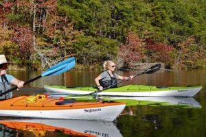Top Hurricane Fishing Kayaks: Ultimate Guide Certified Kayak Fishing Instructor – Learn Kayak Angling with Expert Guidance Top Hurricane Fishing Kayaks: Ultimate Guide | Certified Kayak Fishing Instructor – Learn Kayak Angling with Expert Guidance