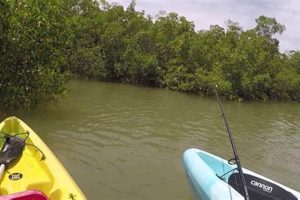 Best Kayak Fishing Estero Bay: Guide & Tips Certified Kayak Fishing Instructor – Learn Kayak Angling with Expert Guidance Best Kayak Fishing Estero Bay: Guide & Tips | Certified Kayak Fishing Instructor – Learn Kayak Angling with Expert Guidance